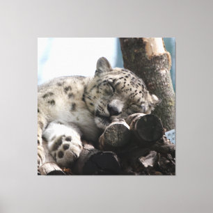 Impressão Em Tela Leopardo 002