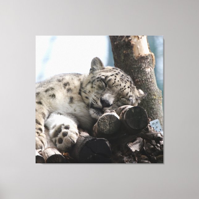 Impressão Em Tela Leopardo 002 (Frente)