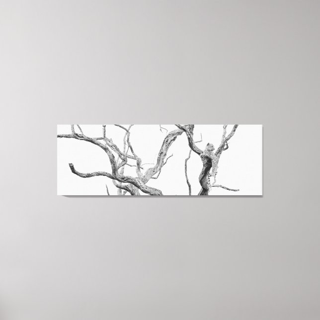 Impressão Em Tela Leopardo-chave: Inkanyeni Female (Frente)