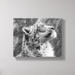 Impressão Em Tela Leopardo de neve calmo