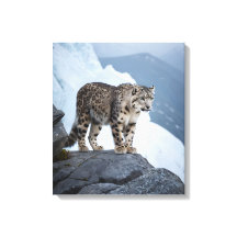 Leopardo de Neve em um Pico Congelado