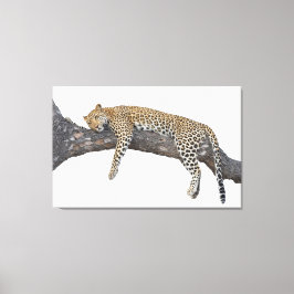 Impressão Em Tela Leopardo Dormente