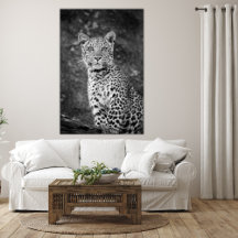Leopardo Jovem de Olhos Brilhantes