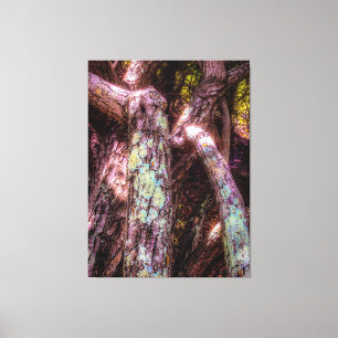 Impressão Em Tela Lichen em luz solar apodrecida