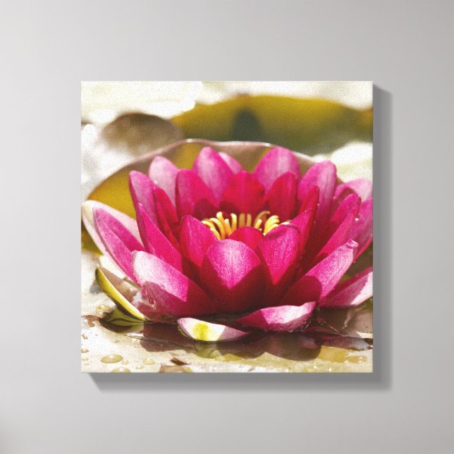 Impressão Em Tela Lily Água (Frente)