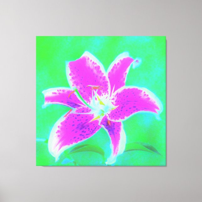 Impressão Em Tela Lily, com Stargazer Rosa Quente, em Turquesa e Ver (Frente)