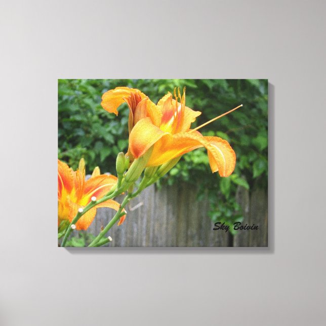 Impressão Em Tela lily de tigre (Frente)