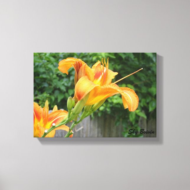 Impressão Em Tela lily de tigre (Frente)