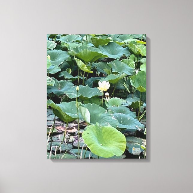 Impressão Em Tela Lilyshade Silêncio 16 x 20 (Frente)