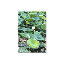 Lilyshade Silêncio 20 x30