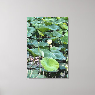 Impressão Em Tela Lilyshade Silêncio 20 x30