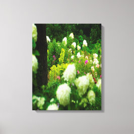 Impressão Em Tela Limelight Hydrangeas no meu Jardim Rubio