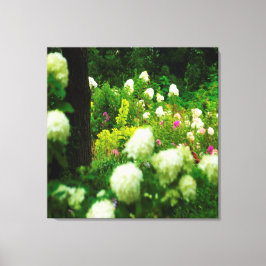 Impressão Em Tela Limelight Hydrangeas no meu Jardim Rubio