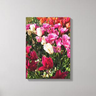 Impressão Em Tela Linda Cama do Jardim das Tulipas, Oregon