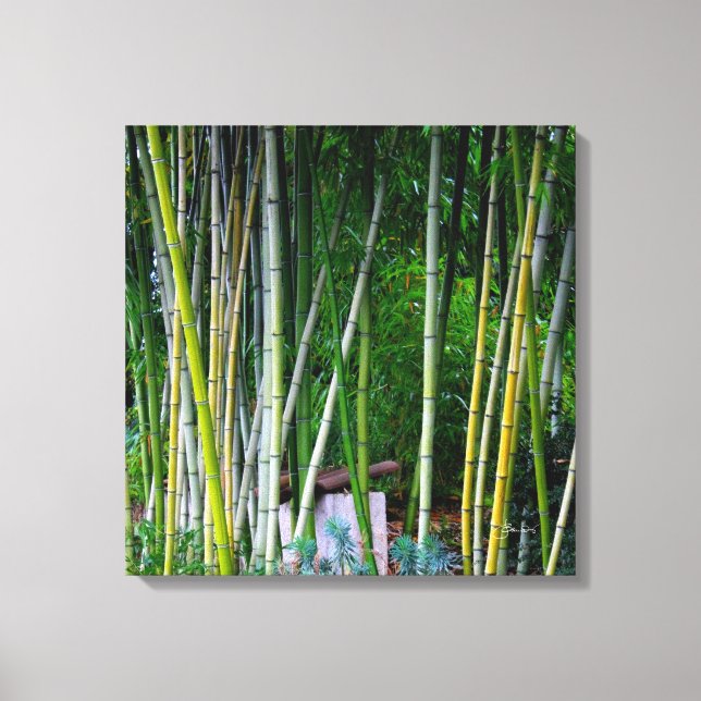 Impressão Em Tela Linda cinza de bambu verde-amarelo (Frente)