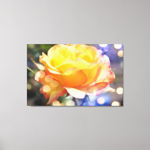 Impressão Em Tela Linda flor de rosa amarela. Fotografia floral