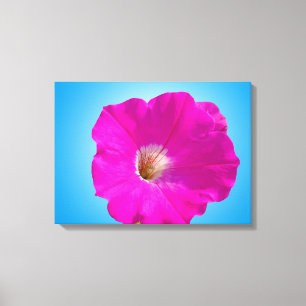 Impressão Em Tela Linda flor rosa de petúnia em fundo azul.