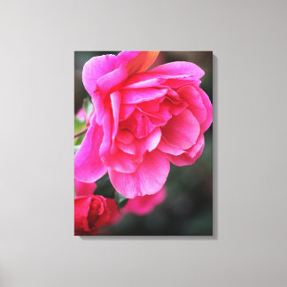 Impressão Em Tela Linda Imagem de Rosa Vermelha em Tela
