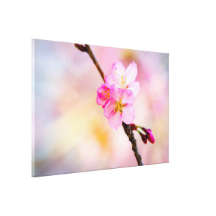 Impressão Em Tela Linda Sakura Cherry Blossoms