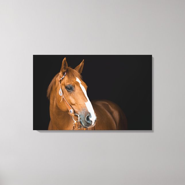Impressão Em Tela Linda tela de foto de Quarter Horse (Frente)