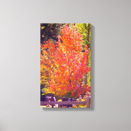 Impressão Em Tela Lindas Cores de Queda 2