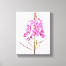 Lindas flores cor-de-rosa botânica floral simples 