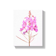 Lindas flores cor-de-rosa botânica floral simples 