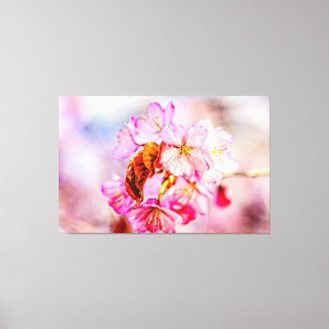 Impressão Em Tela Lindo Conjunto de Flores de Sakura Cor-de-Rosa na  (Frente)