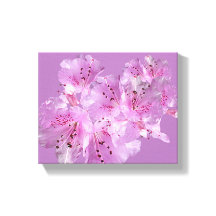 Lindo florescimento rosa floral lindo chique elega