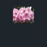 Impressão Em Tela Lindos Rhododendron Blooms Floral<br><div class="desc">Destaque o seu espaço com esta impressão colorida e canvas que apresenta uma imagem fotográfica de lindas flores rosas de Rhododendron. Uma bela imagem floral! Personalize o tamanho da canvas e a largura do quadro conforme desejado.</div>
