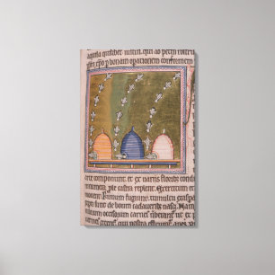 Impressão Em Tela Linhas curvadas do bestiário três