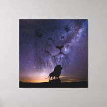 Lion Spirit e Silhouette no céu noturno