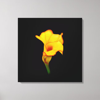 Impressão Em Tela Lírio Amarelo Calla