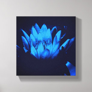 Impressão Em Tela Lírio de Água Azul Brilhante Flor de Lótus Abstrat