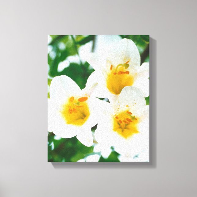 Impressão Em Tela Lírios brancos - Símbolo do amor (Frente)