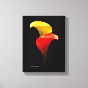 Impressão Em Tela Lírios elegantes do ouro e de Calla dos carmesins