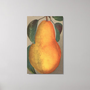 Impressão Em Tela Litografia de Chromo da fruta da pera de Bartlett