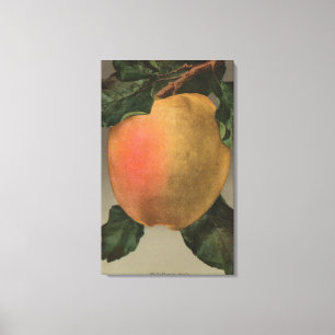 Impressão Em Tela Litografia de Chromo da fruta de Belleflower Apple