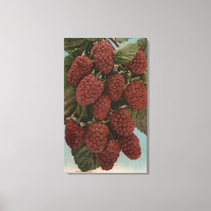 Impressão Em Tela Litografia de Chromo da fruta de LoganberriesState