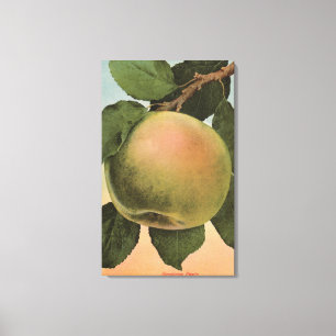 Impressão Em Tela Litografia de Chromo da fruta de Newtown Pippen
