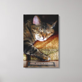 Impressão Em Tela Livro da Kitty Sonolenta