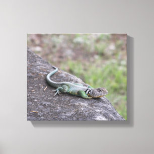 Impressão Em Tela Lizard