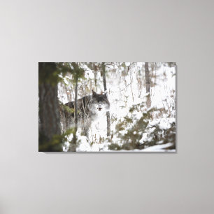 Impressão Em Tela Lobo na floresta no inverno