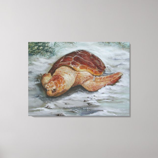 Impressão Em Tela Loggerhead Turtle - Rua George Island (Frente)