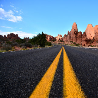 Impressão Em Tela Lonely Road in Arches National Park