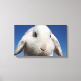 Impressão Em Tela Lop branco