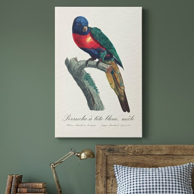 Impressão Em Tela Loriqueuta Arco-íris Macho, Trichoglossus Moluccan (Rainbow Lorikeet Male, Trichoglossus Moluccanus. Canvas Print)