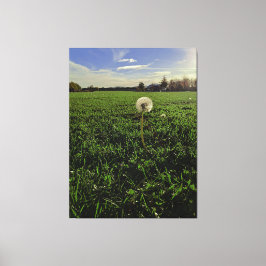 Impressão Em Tela Löwenzahn