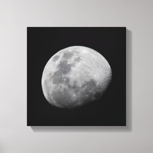 Impressão Em Tela Lua com Céu Preto   Zâmbia, Luangwa do Sul