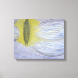 Impressão Em Tela lua de gato por céu